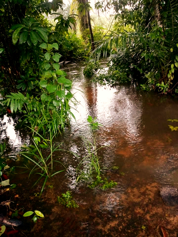 The local water supply