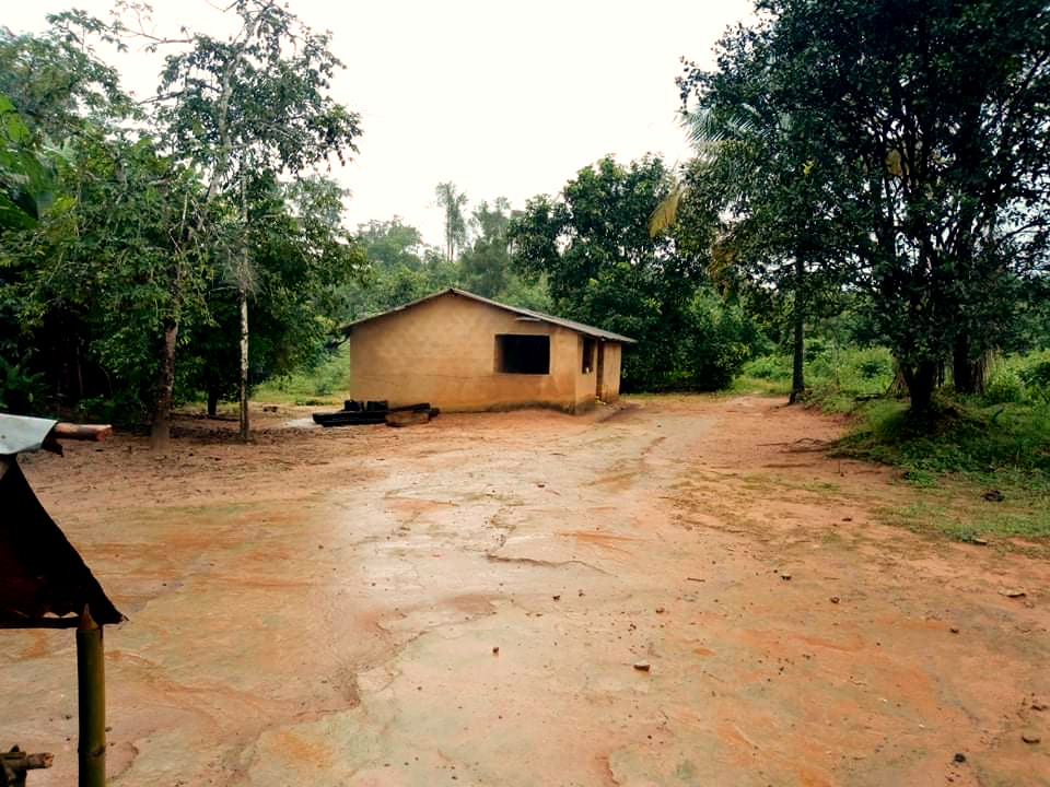 The main road into the village